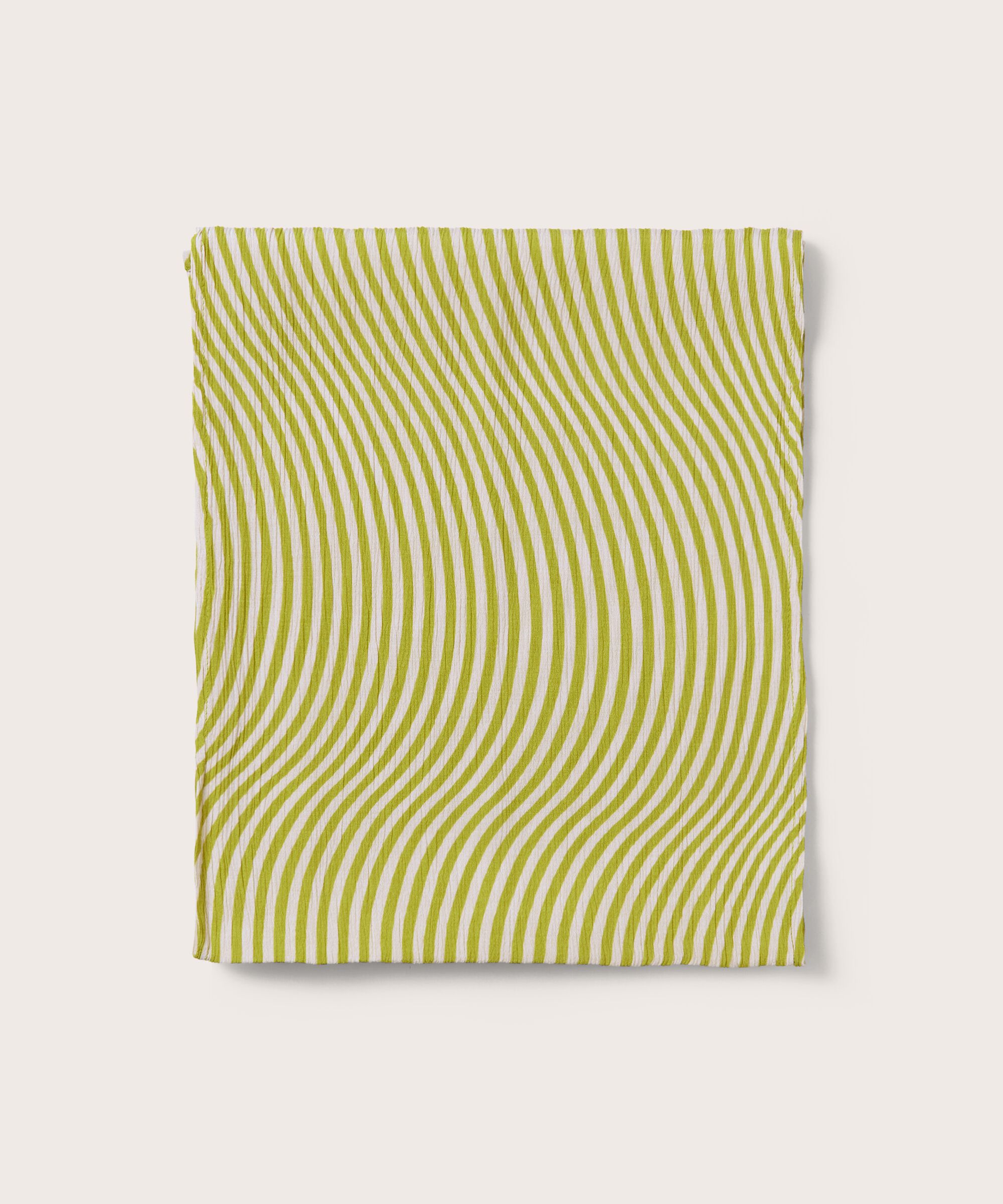 Along Tuch, Lentil Sprout