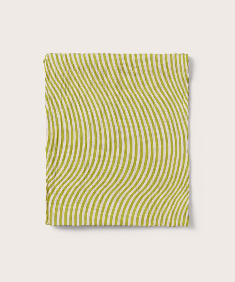 Along Tuch, Lentil Sprout