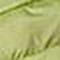 Fern