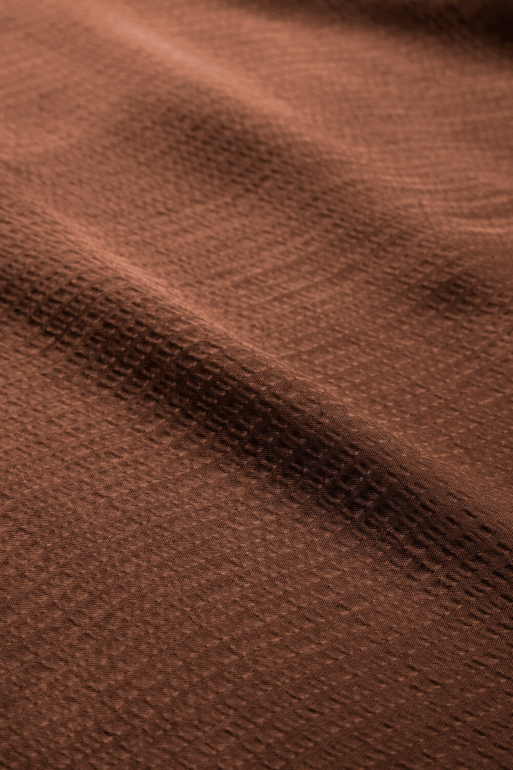 EDANI SHIRT, Tiramisu