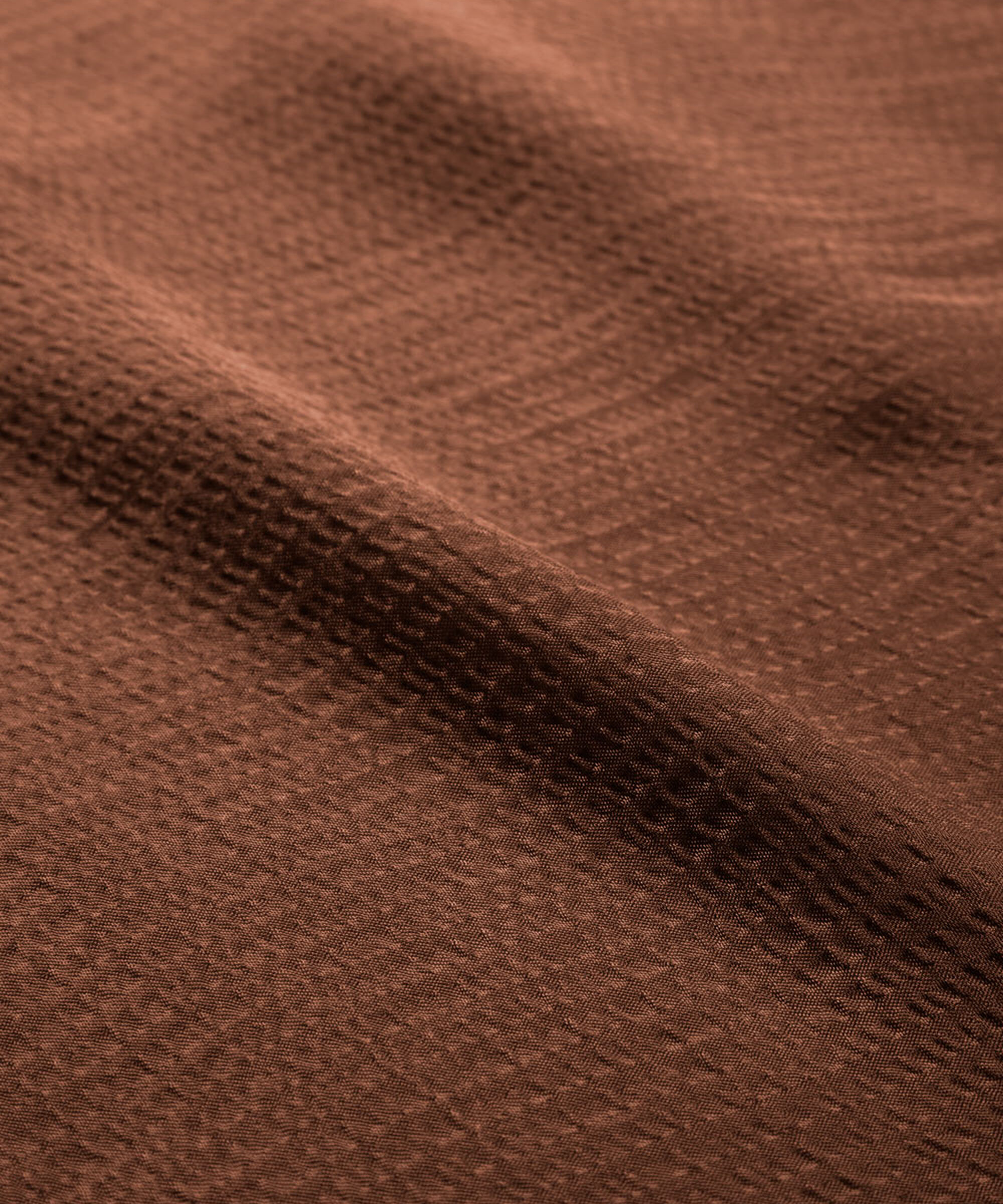 EDANI SHIRT, Tiramisu