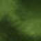 Garden Green