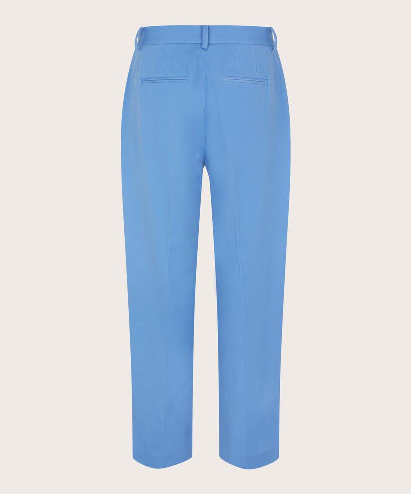 Schwere Baumwollhose Mit Eingrifftaschen, Blue Bonnet