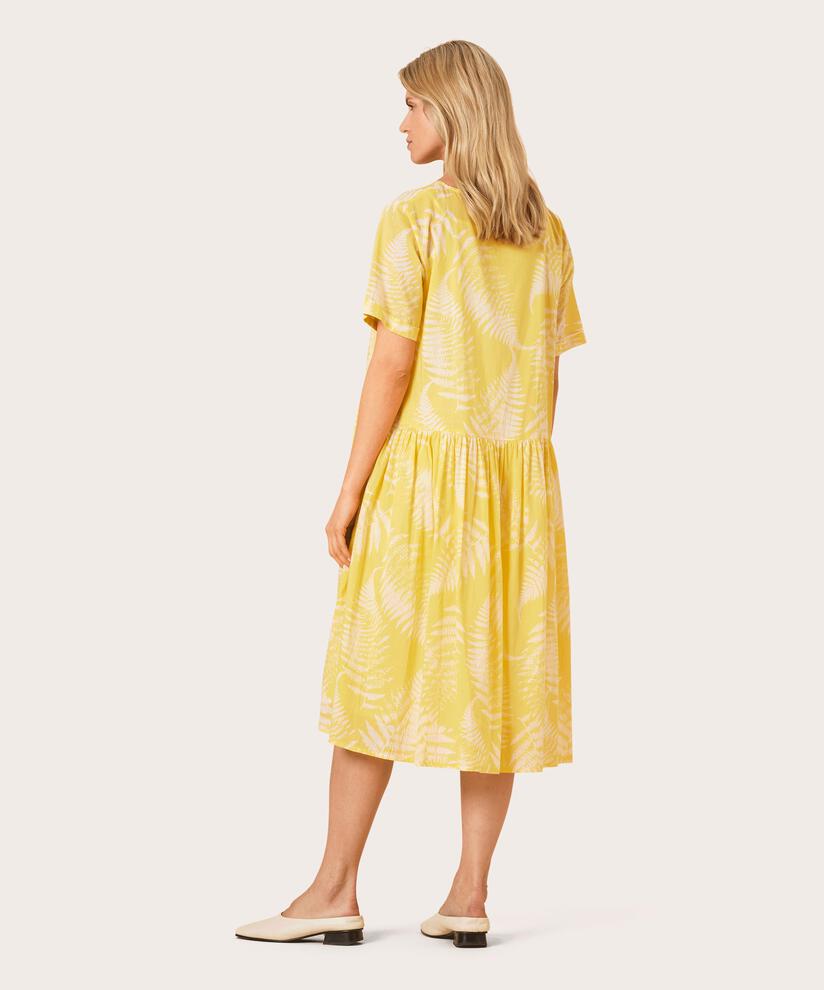 NURISA KLEID, Celery