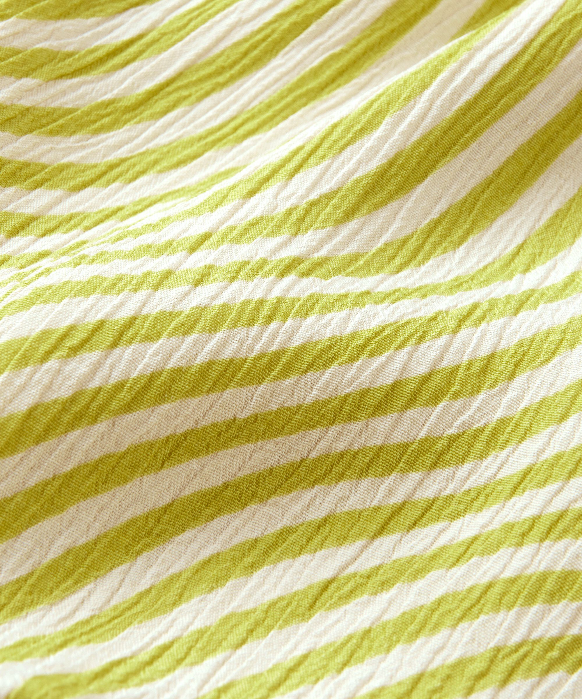 Along Tuch, Lentil Sprout