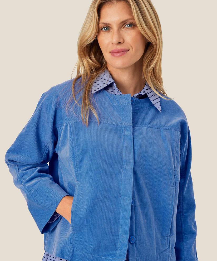 Samtjacke mit verdeckten Knöpfen, Federal Blue