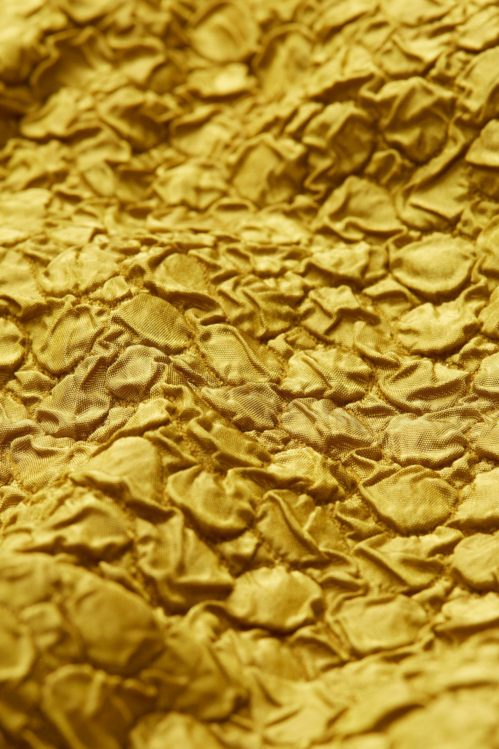 JELINA JACKE, Olive Oil