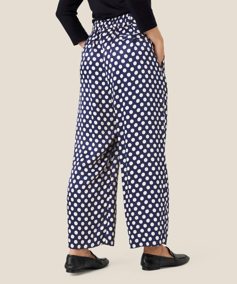Perlinas Hose, Navy Blazer