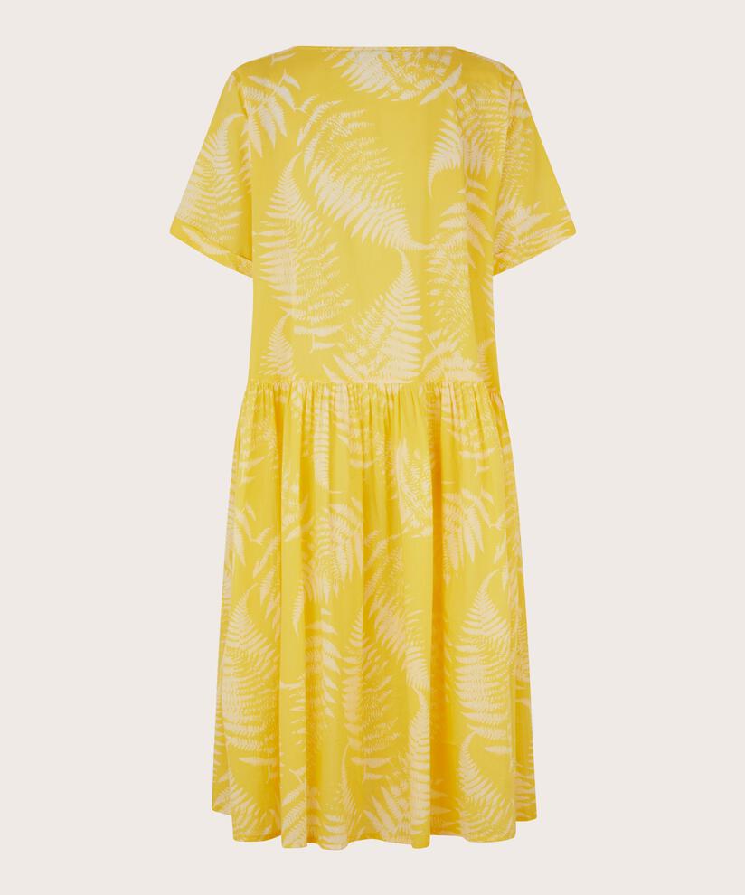 NURISA KLEID, Celery