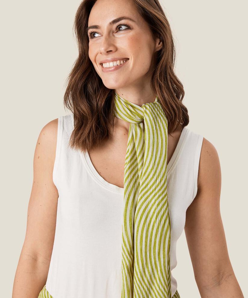 Along Tuch, Lentil Sprout