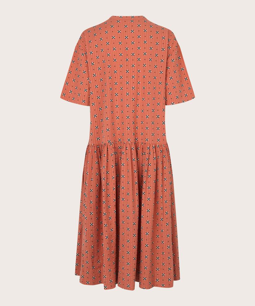 NANOTTI KLEID, Aragon