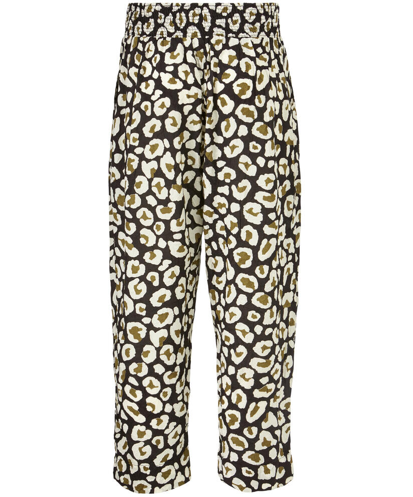 PETRINA HOSE, Beech