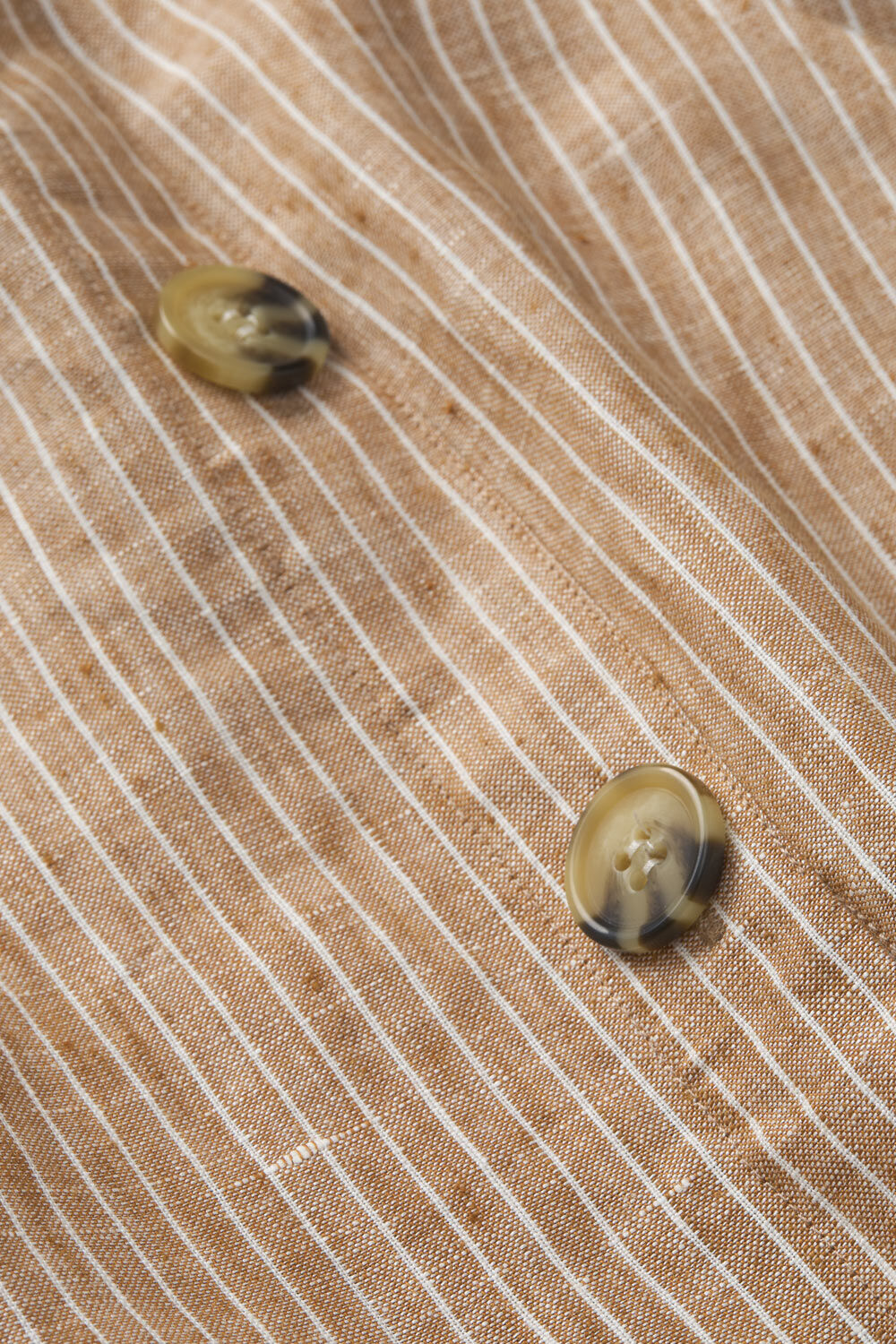 SACHA ROCK, Chipmunk