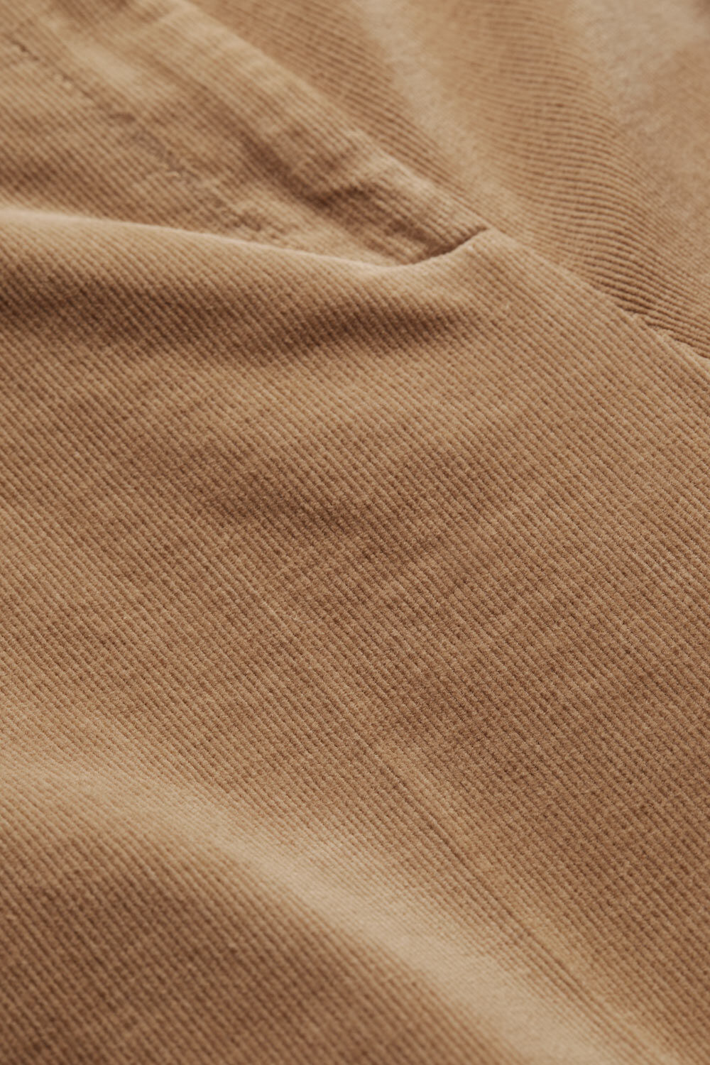 Petia Hose, Tobacco Brown